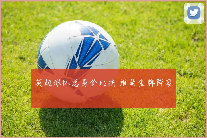 英超球队总身价比拼 谁是金牌阵容