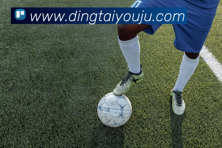 九游体育平台生态图