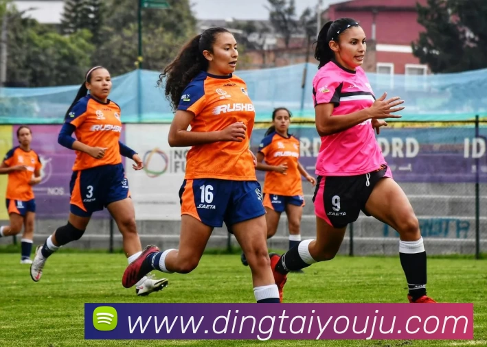 九游体育APP 封面图